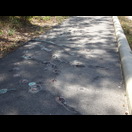 Solche Radwegschäden durch Wurzeln sollten langsam überfahren werden